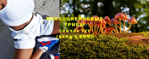 ГАЛЛЮЦИНОГЕННЫЕ ГРИБЫ Абаза