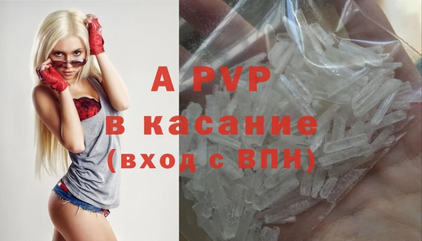 ГАЛЛЮЦИНОГЕННЫЕ ГРИБЫ Абаза