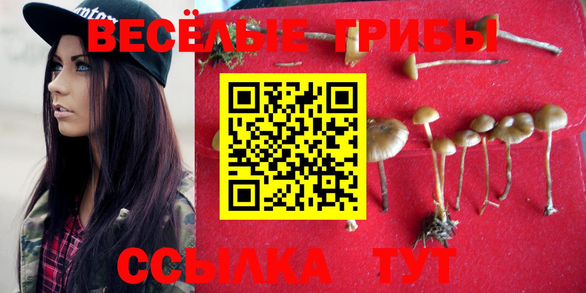 Галлюциногенные грибы Cubensis Отрадное