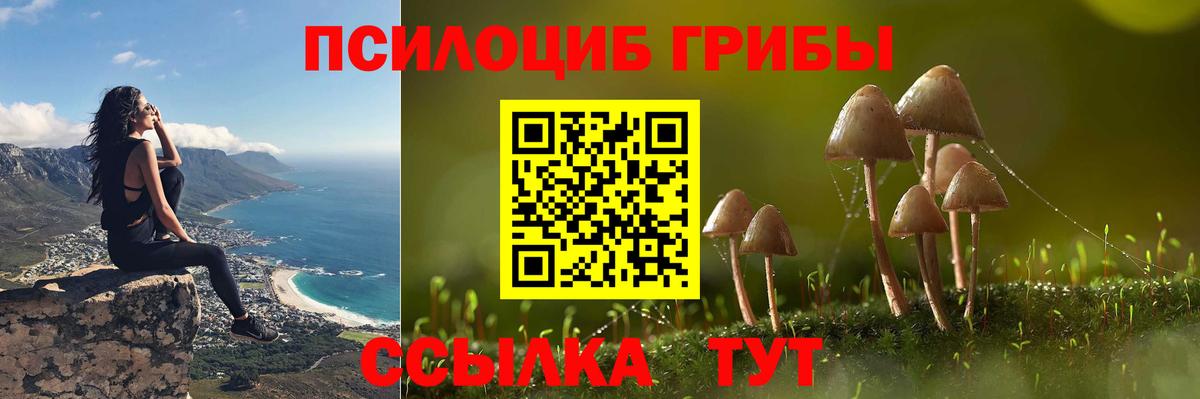 Галлюциногенные грибы Cubensis  Вход с VPN  Отрадное 