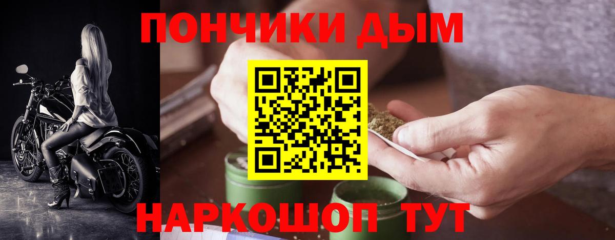 Канабис ГИДРОПОН Отрадное
